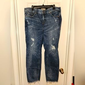 Torrid Bombshell Premium Jeans  Straight 20R